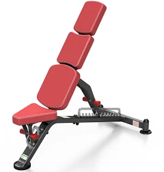 Banc de musculation multi-réglable professionnel 400 kg, acier, usage intensif