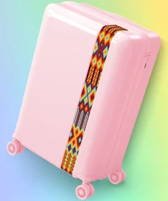 Bande à Part Valise Soute à Roulettes