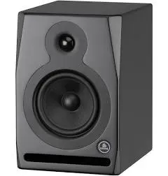 Devine RX-5A enceinte de monitoring active