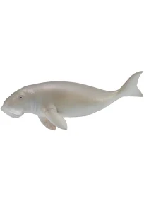 Figurine Collecta dugong