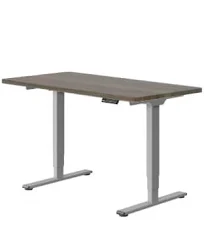 FlexiSpot Bureau assis debout classique avec 2 moteurs