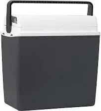Glacière Thermoélectrique 12v 21l Synchro