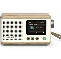 Radio Pure Classic Mini