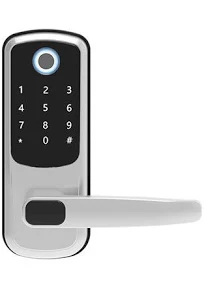 Serrure de porte intelligente Serrure intelligente Smart Lock Accès sécurisé