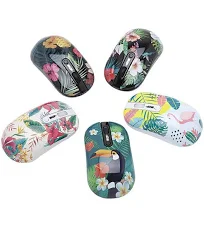 Souris optique sans fil