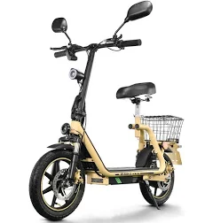Twofish M5 Elite-cee 14 Pouces Pneumatiques 48v13ah Batterie 500w Motor City Commuting Scooter Électrique Pliant